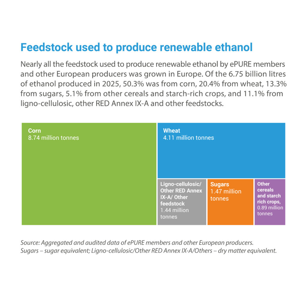 Key figures 2025: Feedstock used to produce renewable ethanol