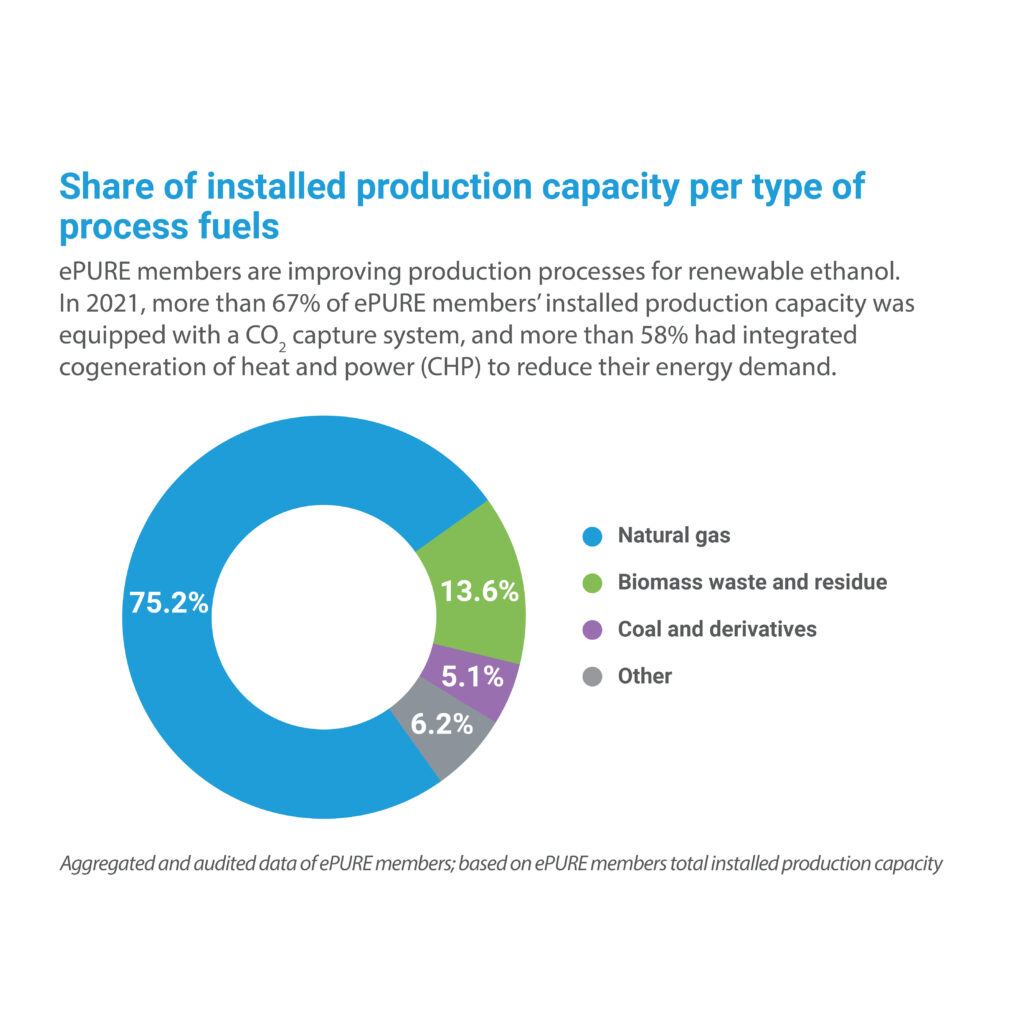 Key figures 2021: Share of installed production capacity per type of process fuels
