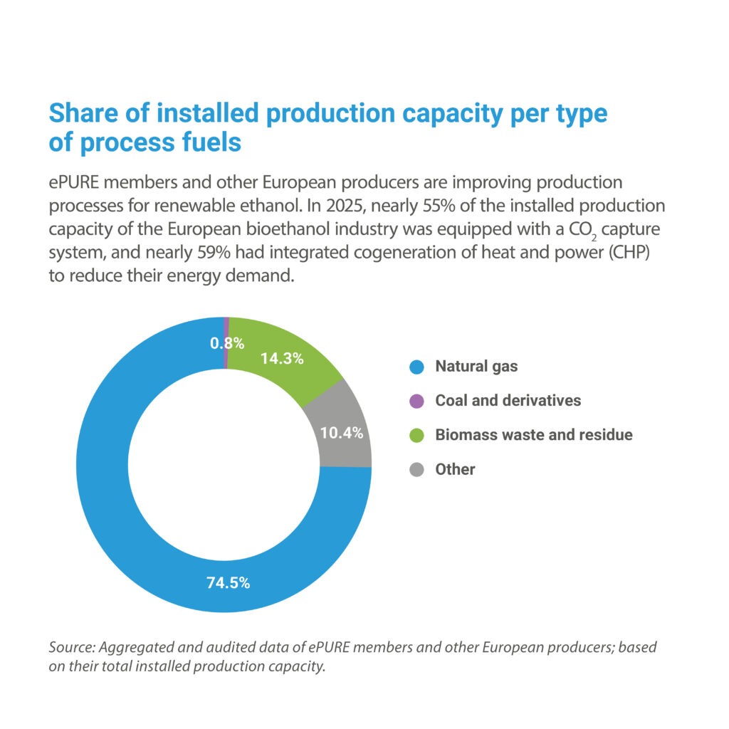 Key figures 2025: Share of installed production capacity per type of process energy