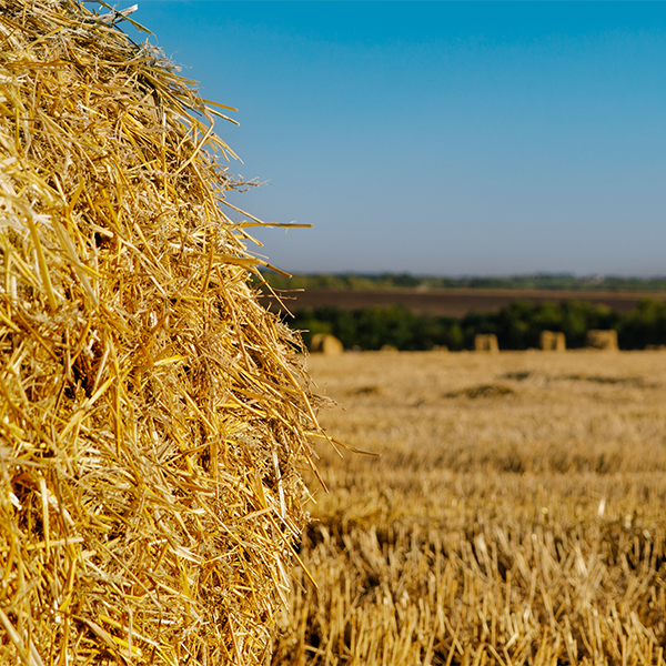 DuPont opens world’s largest cellulosic ethanol plant in USA