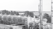 European renewable ethanol industry releases annual State of the Industry Report