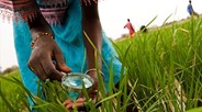 UN FAO chief: debate about biofuels needs to focus on their benefits to food security